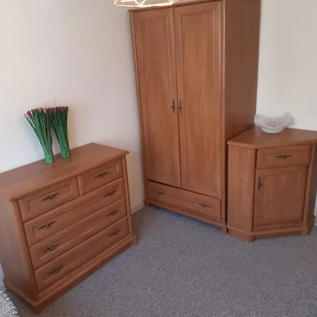 Przylesie Apartment *